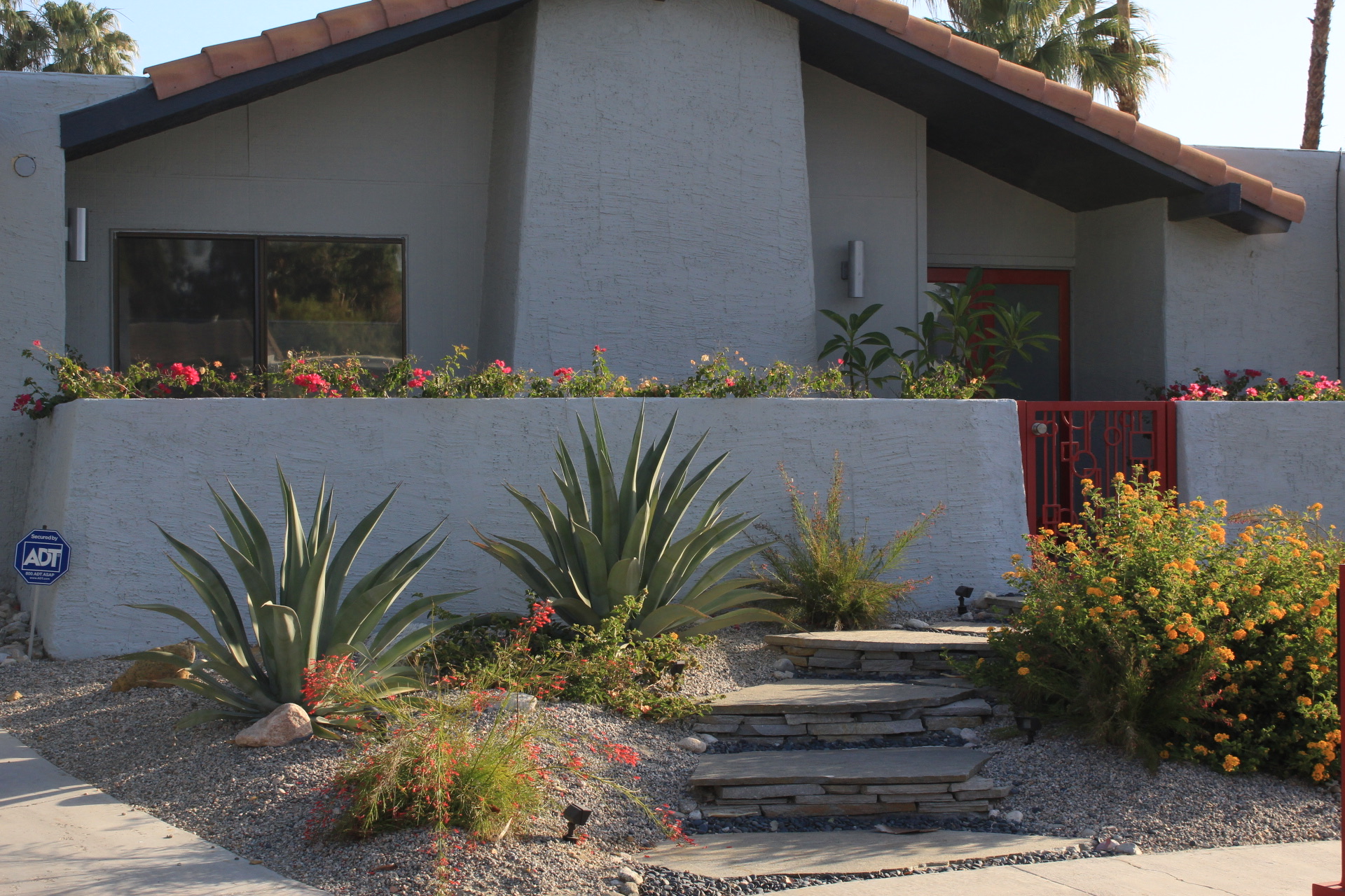 Front yard with agave, flowering shrubs and stone steps